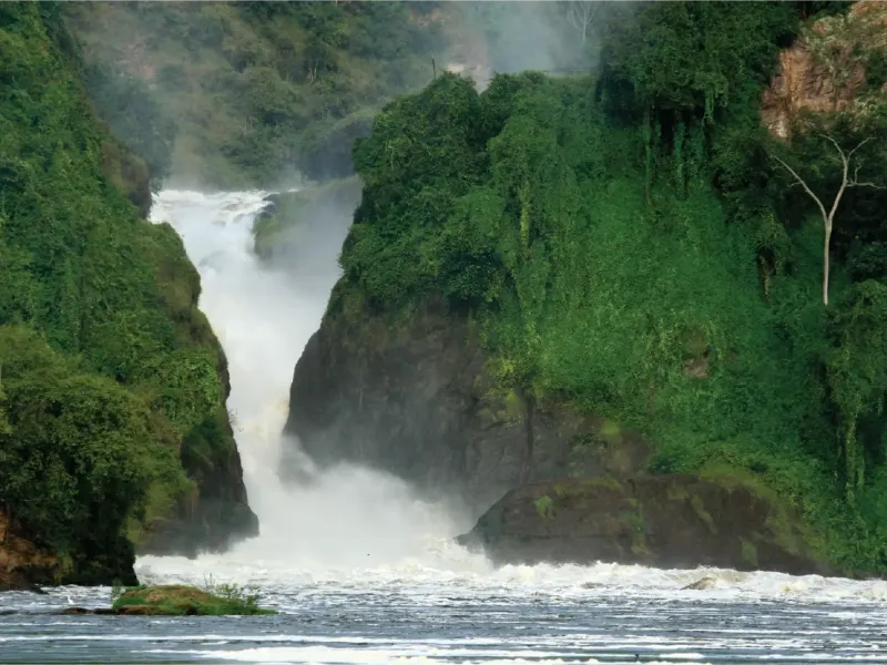 Murchison Falls National Park