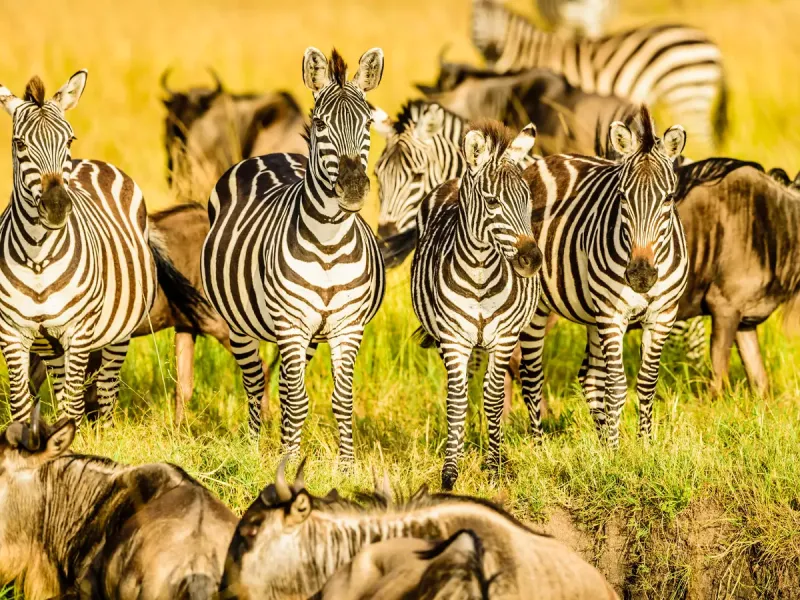 Serengeti National Park