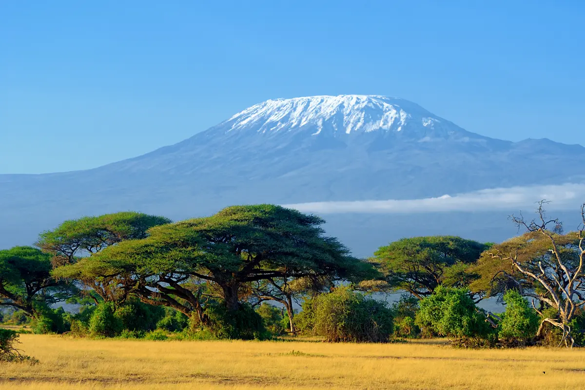 Best of Tanzania Safari — 4 Star Gallery