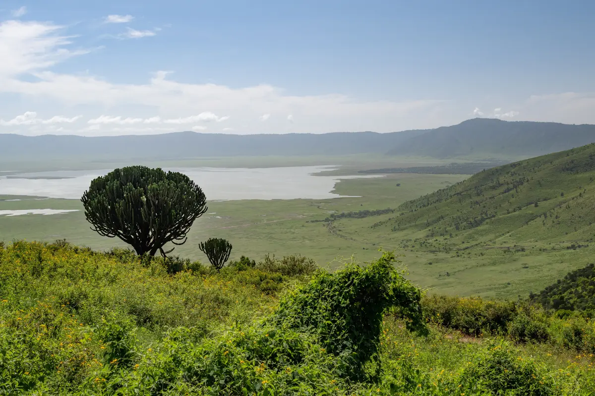 Tanzania Safari Package — 6 Days Gallery