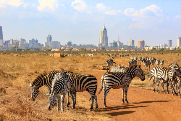 Nairobi Park